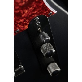 Harley Benton TE-20HH SBK Standard Series