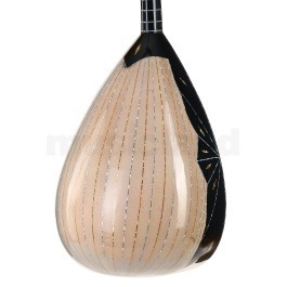 Electric Saz gamusic bk-11 kelembekneckarman| Ηλεκτρικό Σαζ με Θήκη